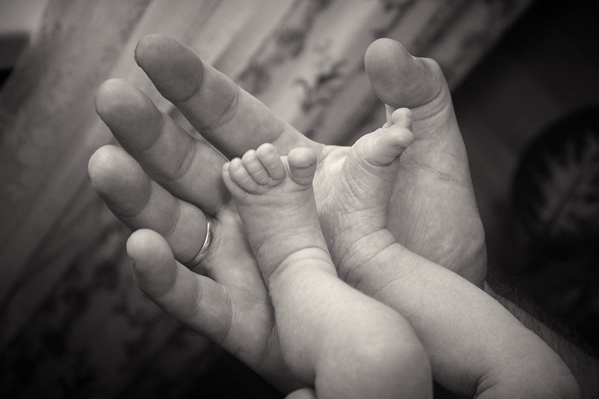 Папа - Наталья Белова