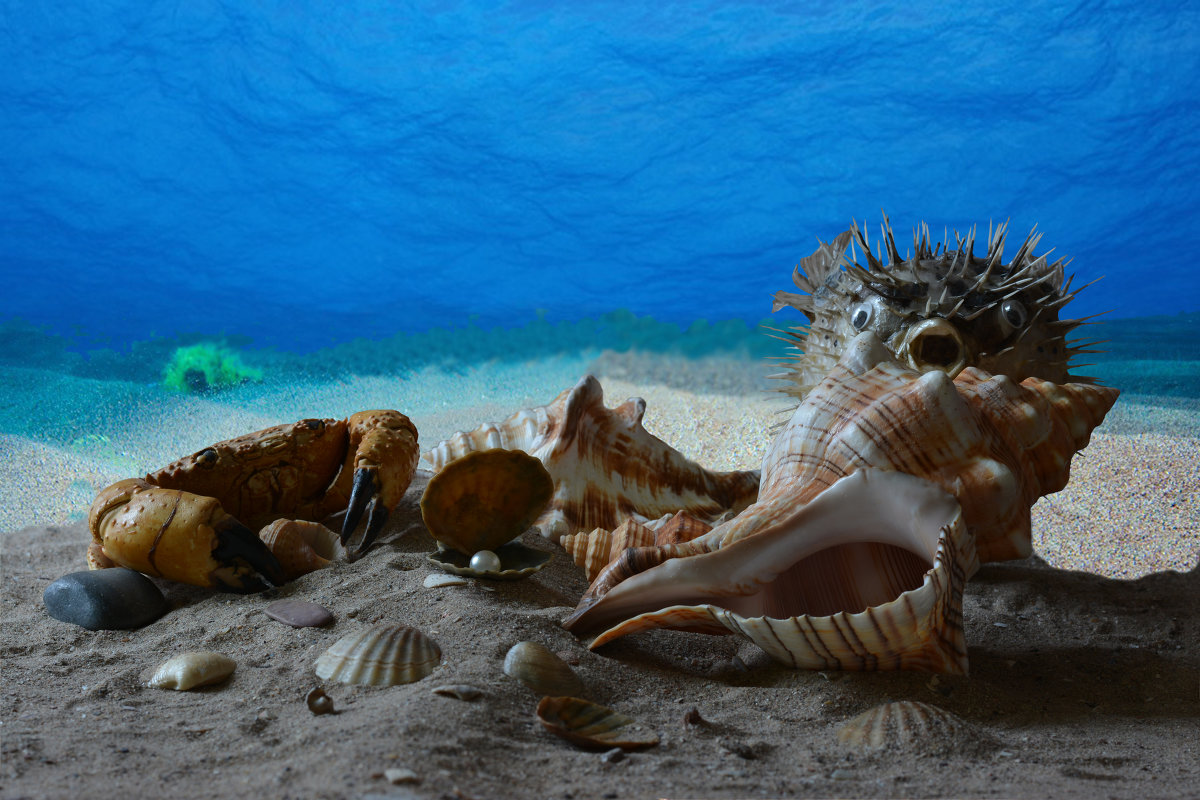 натюрморт - Alex натюрморт - Alex