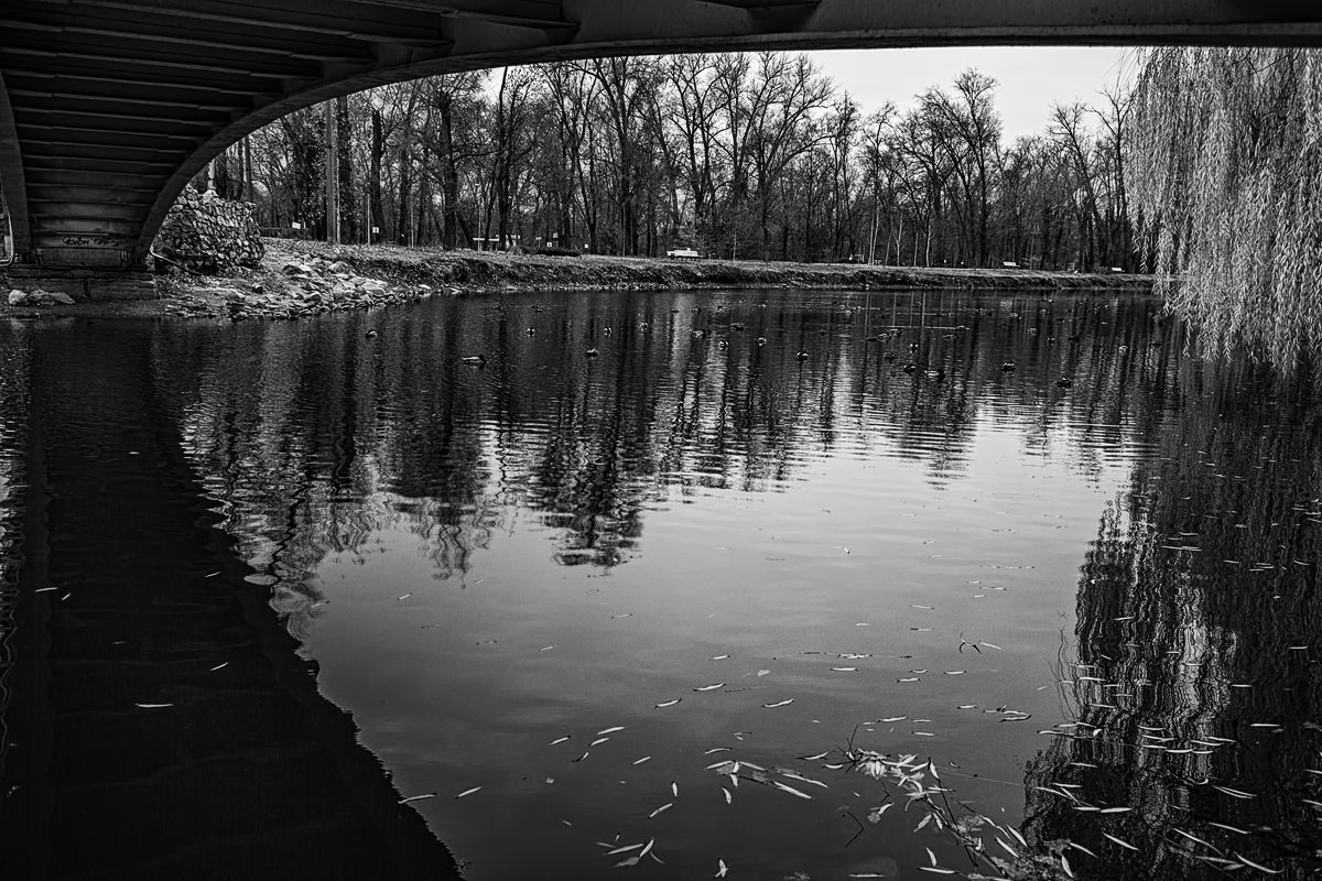 В осеннем парке. - Павел Тодоров