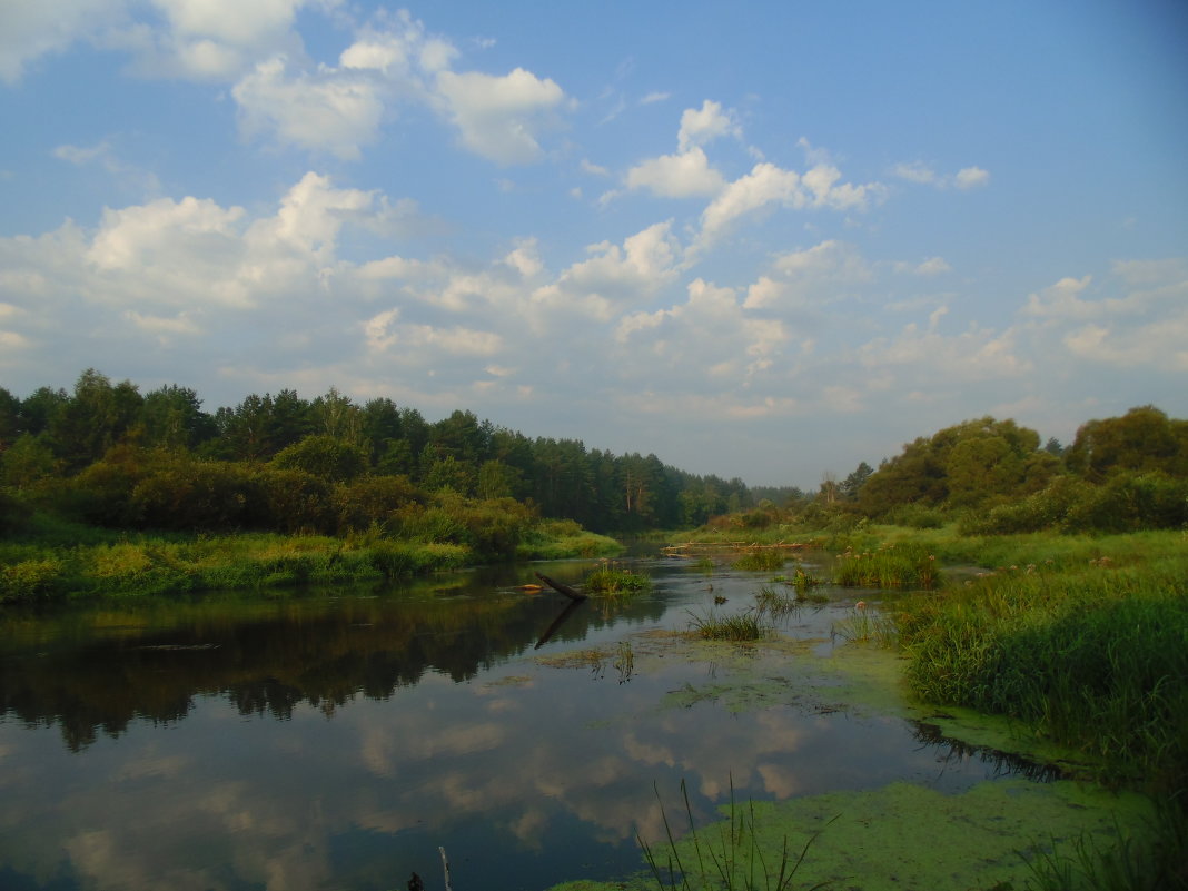 Утро у реки. - Людмила Ларина Утро у реки. - Людмила Ларина