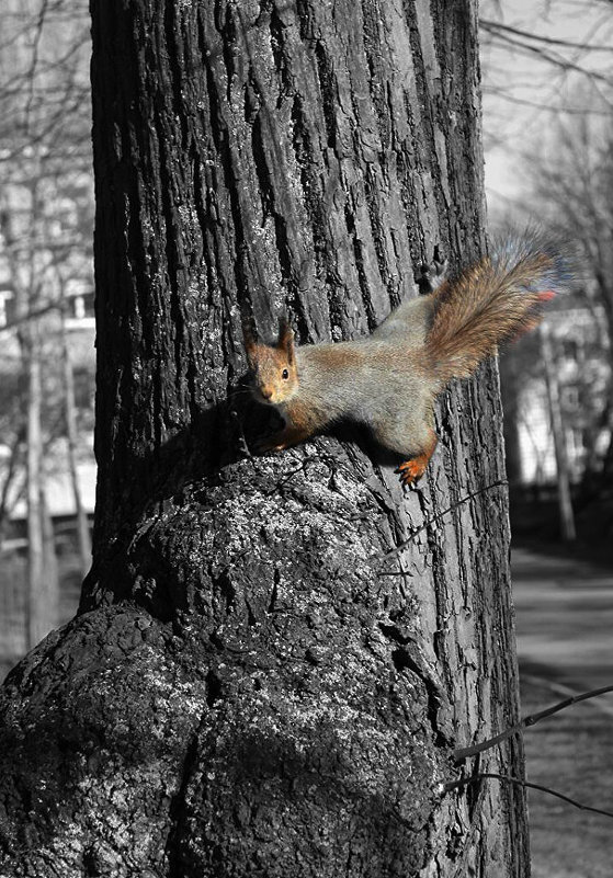 Любопытство не порок - Татьяна Жаринова