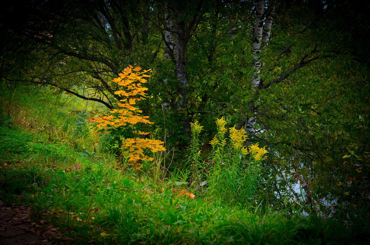 Краски осени - Владимир Ветер