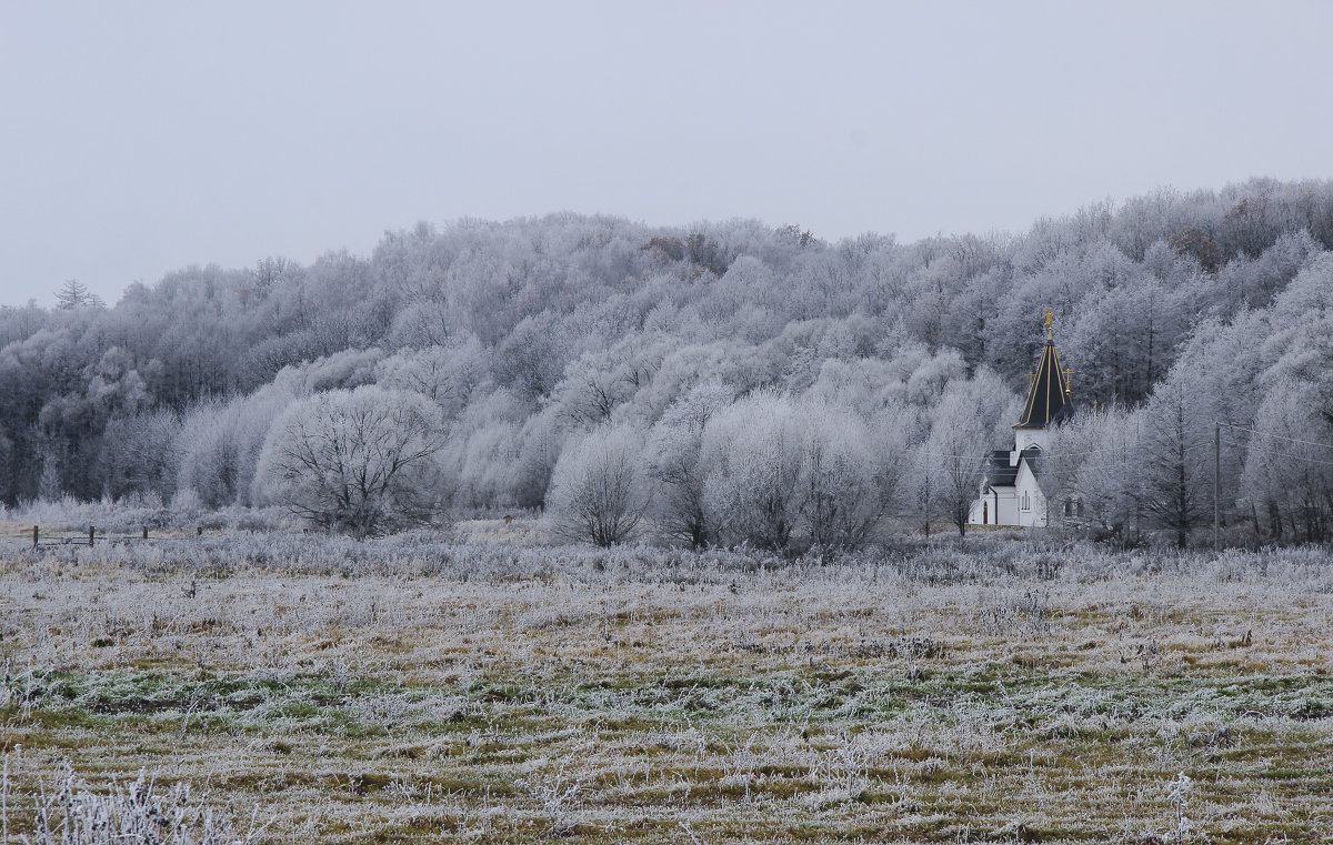 Изморозь - Лидия Гордеева 