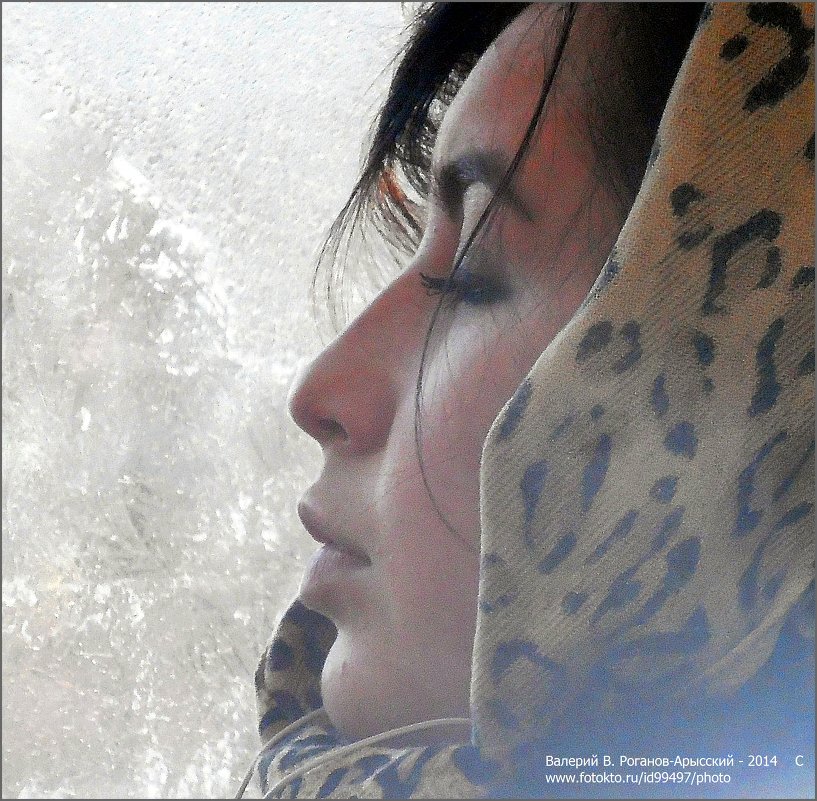 ПРОФИЛЬ В КАДРЕ - Валерий Викторович РОГАНОВ-АРЫССКИЙ