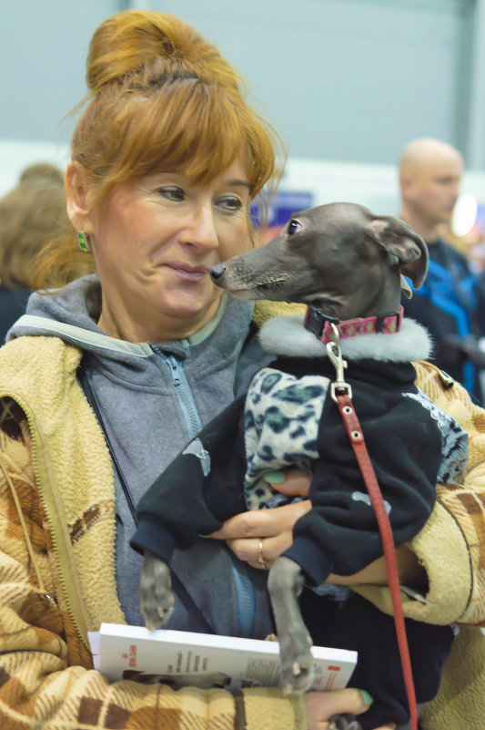 ... - Владимир Хиль