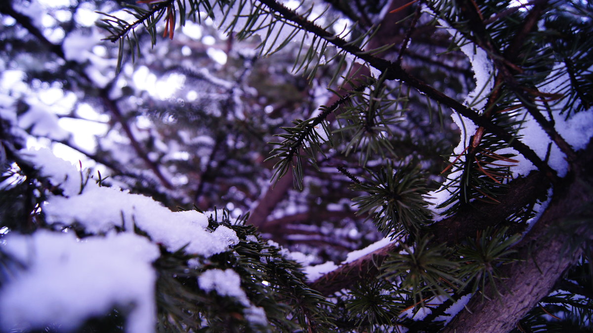 winter - Юлия Быкова