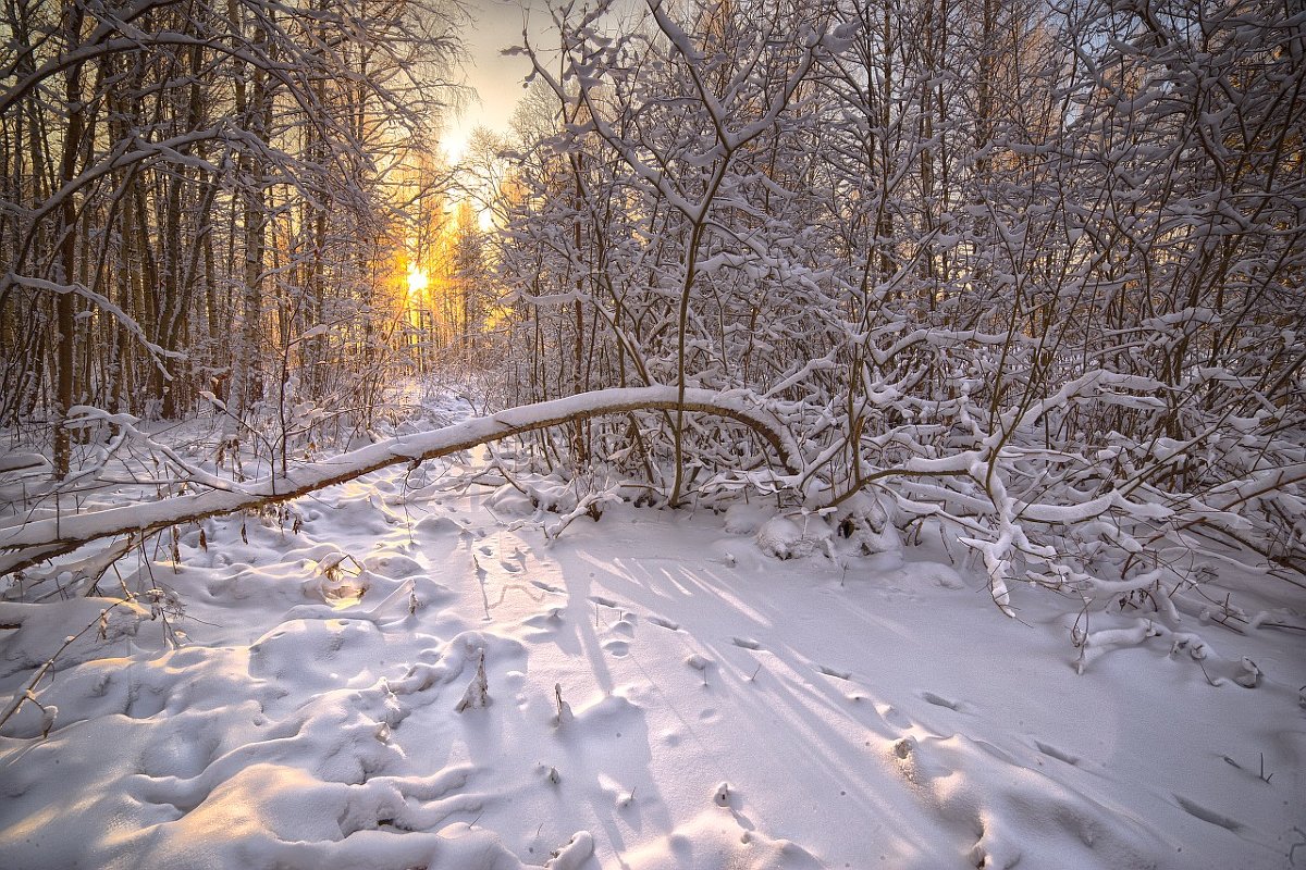 ... - Андрей Иванов