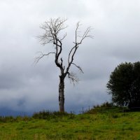 дождливый день :: Valentin Orlov