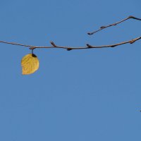 Последний лист :: ♛ Г.Король