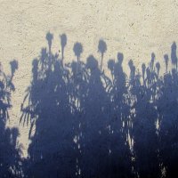 ...средь шумного бала, случайно, тебя я  увидел... :: galalog galalog