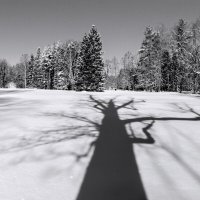 *** :: Сергей Григорьев