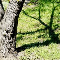 Треугольник :: Maria Rainer