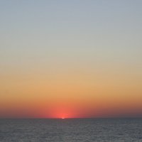 Лето маленькая  жизнь :: Алёна Писарева