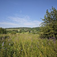 Родные просторы :: Екатерина 