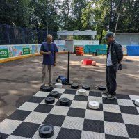 Турецкие шашки. Играю чёрными :: Дмитрий Никитин