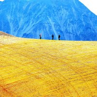 Туристы на Марсовом поле :: Александр Чашин Туристы на Марсовом поле :: Александр Чашин