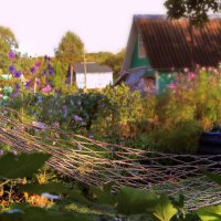 лето :: РИТА ЛЕВКОВА