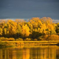 Золотая осень на Мологе :: Николай Дергачев