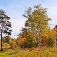 Краски осени. :: photo view