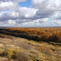 Октябрьская палитра :: Олег Денисов