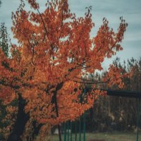 Осеннее забвение :: Сергей В