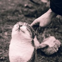 ... :: Валентина M