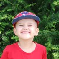 день удался :: Наталья Штанулина