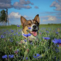 КОНКУРС :: Александра [-/