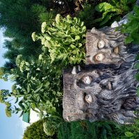 Подселенцы?! :: Тамара Лисицына