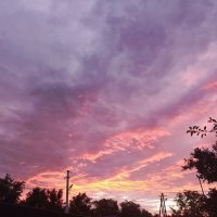 Летний закат :: Татьяна Пальчикова