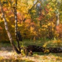 Осень в парке :: SanSan San