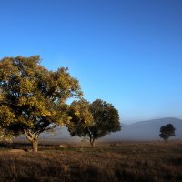 ... :: Юрий Кущ