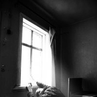 Я помолюсь на окна :: Сергей Исайчев