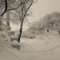 Зимняя зарисовка... :: Сергей Офицер