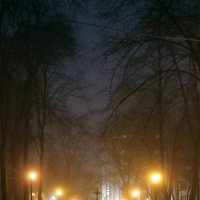 Туманные отголоски :: Ната Семионова