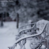 ... :: Щеголяева Татьяна