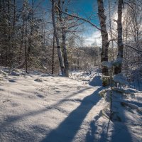 Мороз и солнце :: Андрей Гусев