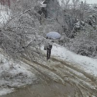 Сочуствующий взгляд из окна :: Сергей Харченко