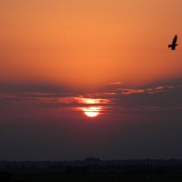 Рассвет :: Касим 