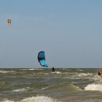 ... :: Vladimir Didenko