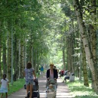 Прогулка по парку :: Ольга Федорова