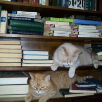 Что-бы почитать? :: Светлана 