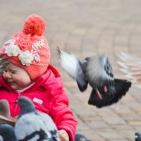 Прилетели птички :: Елена 