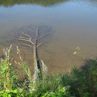 ... :: Татьяна 