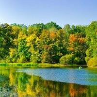 Осень в Спасском-Лутовинове :: Юлия Копыткина