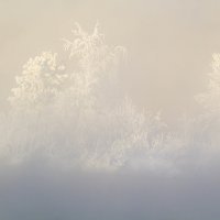 Зимняя сказка :: Алексей. Бордовский