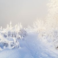 Зимняя сказка :: Алексей. Бордовский