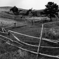 Деревенский простор :: olga 