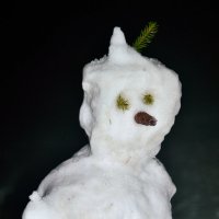 Снеговику любопытно :: Константин Ясинский