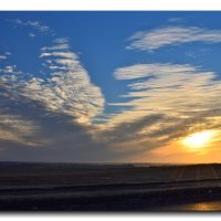 Пейзаж у дороги. :: Александр 